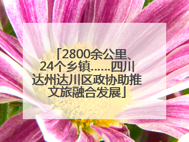 2800余公里、24个乡镇……四川达州达川区政协助推文旅融合发展
