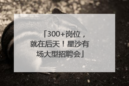 300+岗位，就在后天！星沙有场大型招聘会