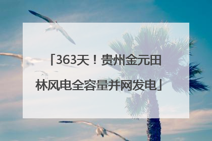 363天！贵州金元田林风电全容量并网发电
