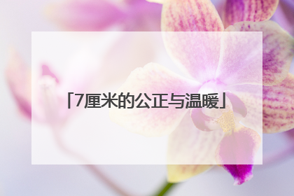 7厘米的公正与温暖