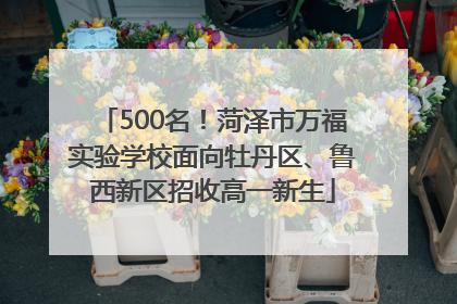 500名！菏泽市万福实验学校面向牡丹区、鲁西新区招收高一新生