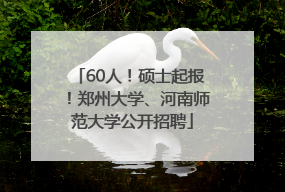 60人！硕士起报！郑州大学、河南师范大学公开招聘