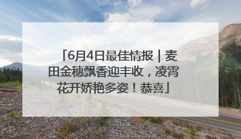 6月4日最佳情报｜麦田金穗飘香迎丰收，凌霄花开娇艳多姿！恭喜
