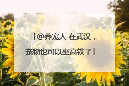 @养宠人 在武汉，宠物也可以坐高铁了