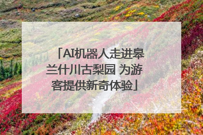 AI机器人走进皋兰什川古梨园 为游客提供新奇体验