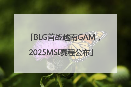 BLG首战越南GAM，2025MSI赛程公布