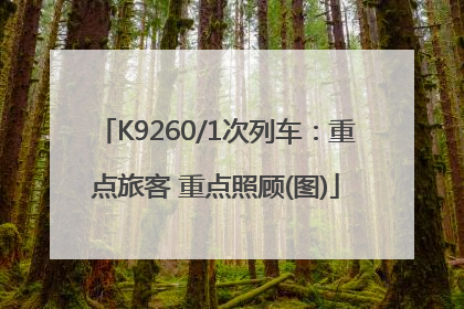 K9260/1次列车：重点旅客 重点照顾(图)